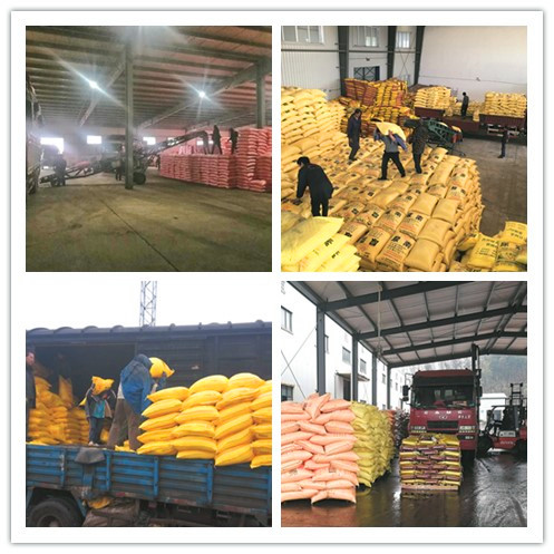 1552956398597098545.jpg initpintu_副本.jpg