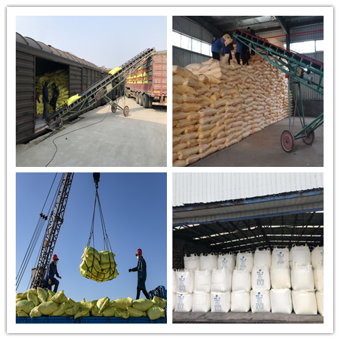 1584089296964024185.jpg 合肥配送中心就站直發(fā)復(fù)合肥_副本.jpg