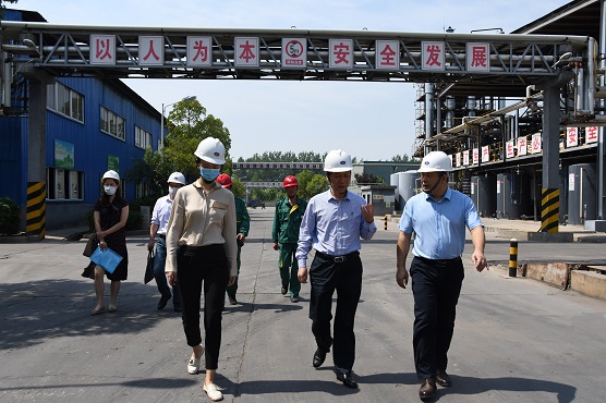 1590455097458012371.jpg 黃2.jpg