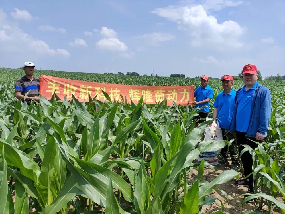 1632272817422049810.jpg 1632272817422049810.jpg